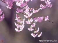 南宁择遭溪服装有限公司