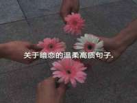 南宁择遭溪服装有限公司