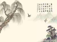 南宁择遭溪服装有限公司