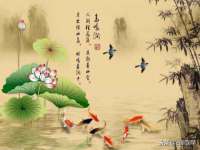 南宁择遭溪服装有限公司