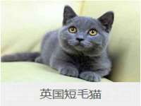 南宁择遭溪服装有限公司