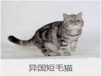 南宁择遭溪服装有限公司