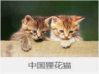 南宁择遭溪服装有限公司