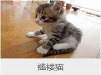 南宁择遭溪服装有限公司