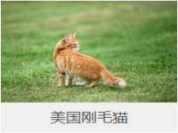 南宁择遭溪服装有限公司