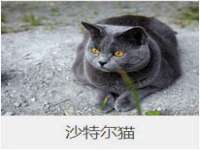 南宁择遭溪服装有限公司