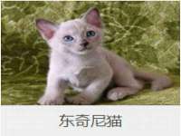 南宁择遭溪服装有限公司