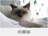 南宁择遭溪服装有限公司