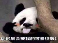 南宁择遭溪服装有限公司