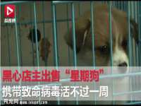 南宁择遭溪服装有限公司