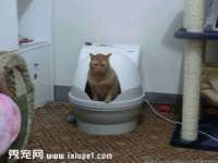 南宁择遭溪服装有限公司