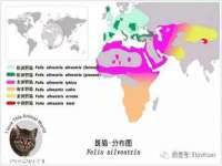南宁择遭溪服装有限公司