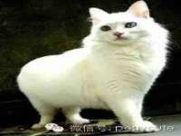 南宁择遭溪服装有限公司