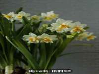 南宁择遭溪服装有限公司