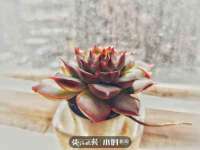南宁择遭溪服装有限公司