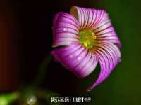 南宁择遭溪服装有限公司