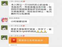 南宁择遭溪服装有限公司