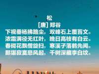 南宁择遭溪服装有限公司