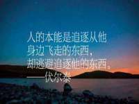 南宁择遭溪服装有限公司