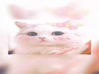 南宁择遭溪服装有限公司