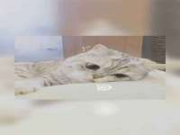 南宁择遭溪服装有限公司