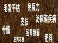 南宁择遭溪服装有限公司