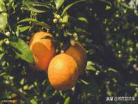 南宁择遭溪服装有限公司
