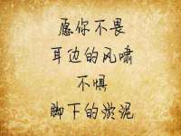 南宁择遭溪服装有限公司