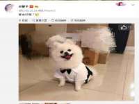 南宁择遭溪服装有限公司