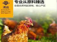 南宁择遭溪服装有限公司