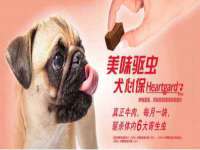 南宁择遭溪服装有限公司
