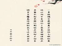 南宁择遭溪服装有限公司