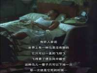 南宁择遭溪服装有限公司