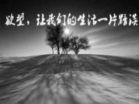 南宁择遭溪服装有限公司