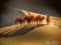 南宁择遭溪服装有限公司