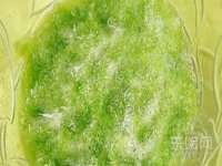 南宁择遭溪服装有限公司