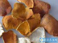南宁择遭溪服装有限公司