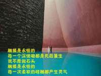 南宁择遭溪服装有限公司