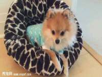 南宁择遭溪服装有限公司