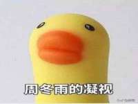 南宁择遭溪服装有限公司